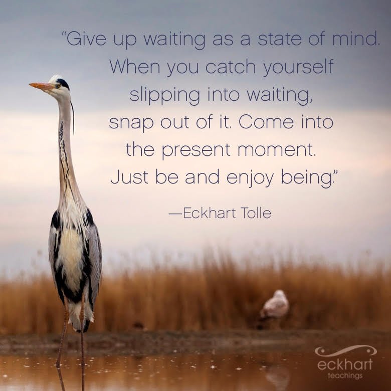 EckhartTolle's tweet image. Give up waiting as a state of mind. When you catch yourself slipping into waiting, snap out of it. Come into the present moment. Just be and enjoy being.  ~Eckhart Tolle #JustBe