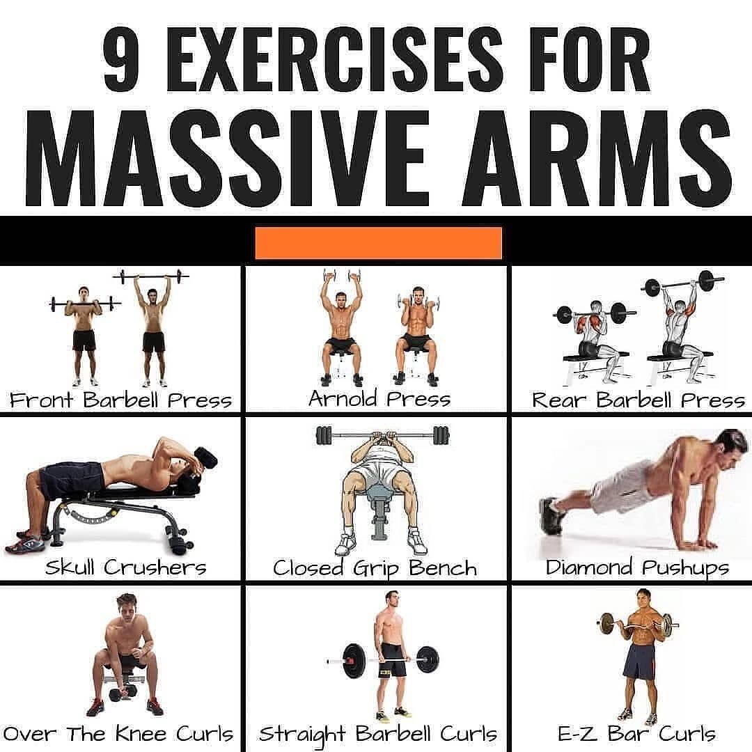 PhysiquesGreek's tweet photo. Get yourself some massive arms! 💪🏼
#GreekPhysiquesFitness
•
💡 Follow us @PhysiquesGreek for daily fitness motivation and information!
💡 Tag your friends who love to lift!
💡follow @greekphysiquesbrand on Instagram if you’re a true bodybuilder! https://t.co/lC2Ts7hhuC