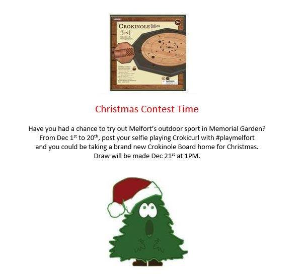 Check this out!  If you have never played Crokinole, perhaps you will have to learn over Christmas.  We love pictures.