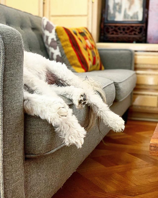 kylehs's tweet image. ift.tt/2KSPw2y