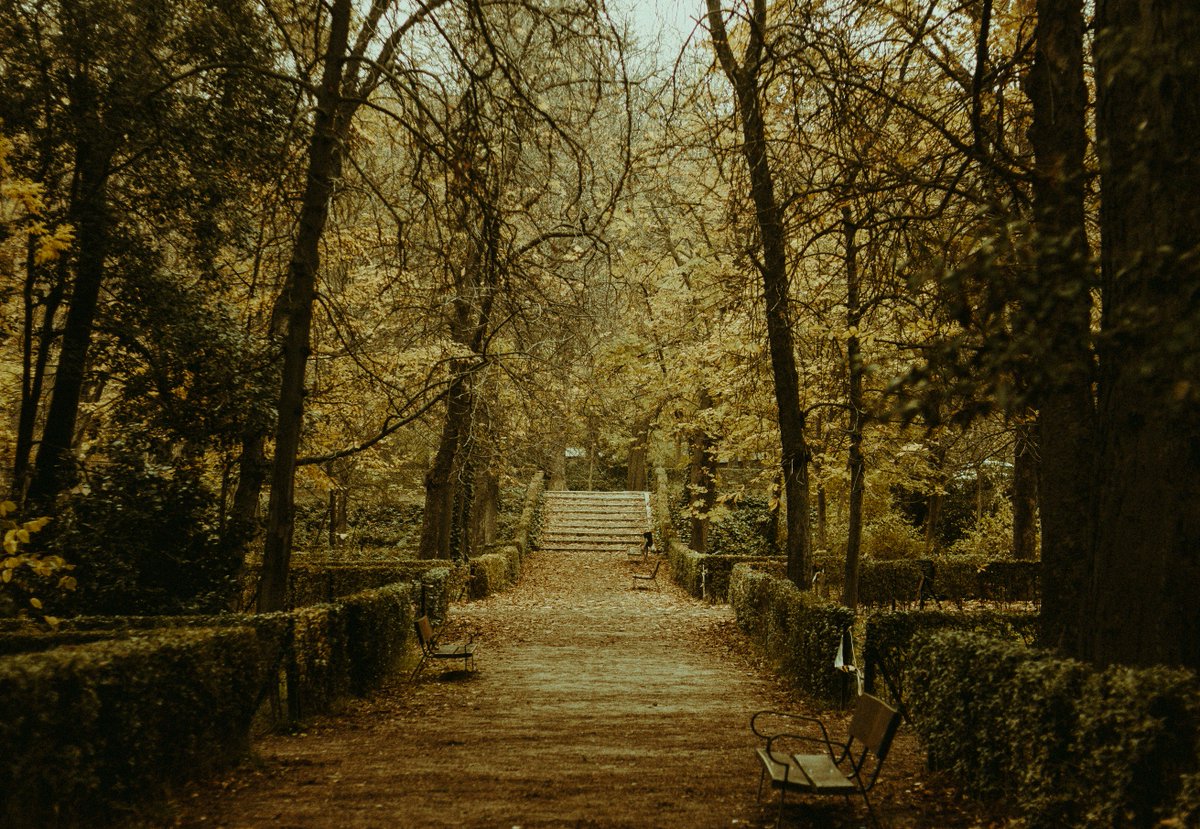 diexso0n's tweet photo. 🍂 https://t.co/IWtC9qryt9
