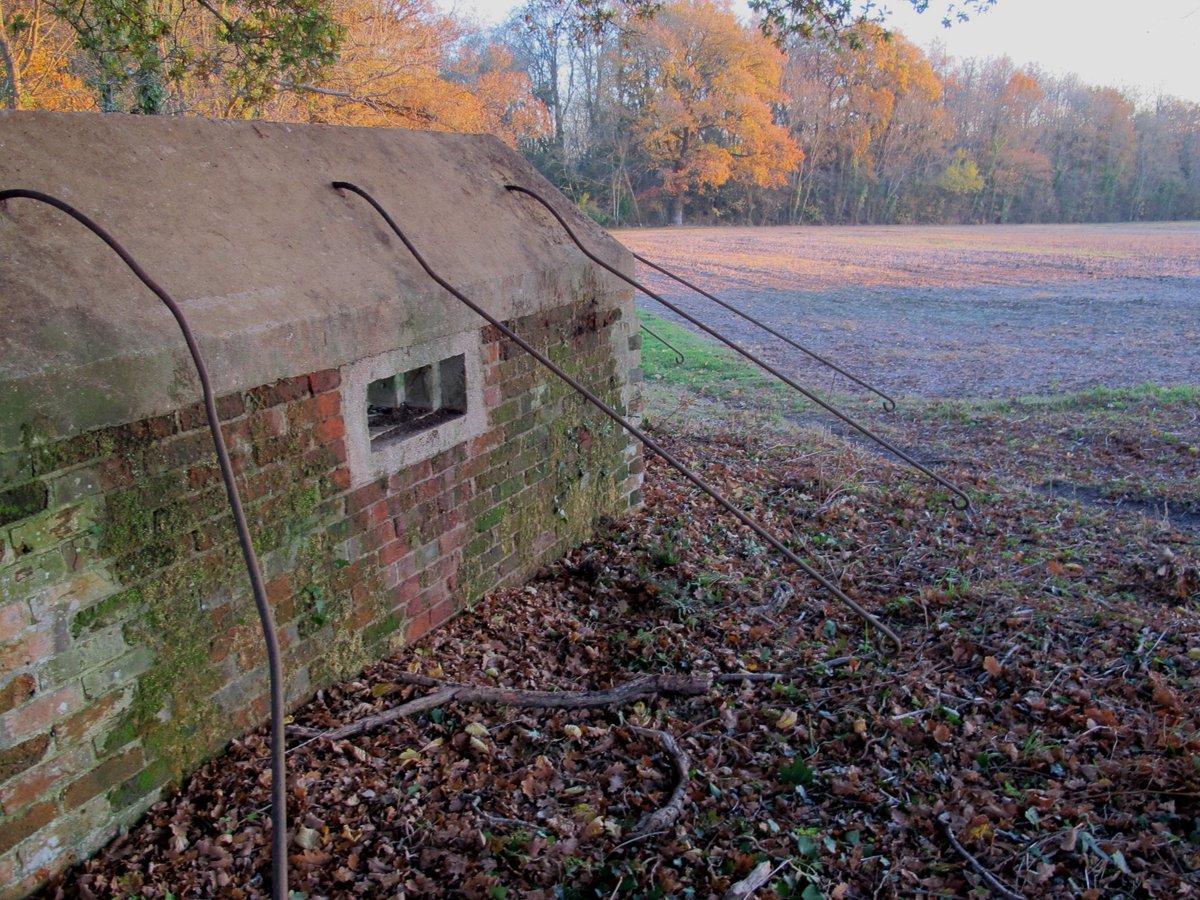 PillboxSG's tweet photo. Recent Subject To Uncovering This #WW2 #Pillbox Still has Its Very Rare Metal Bars For #Camouflage &amp; Concealment Purposes #ConflictArchaeology #PillboxStudyGroup https://t.co/xsK0lz9wLE