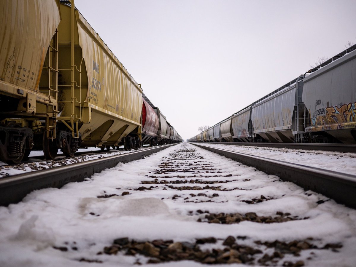 webbvisuals's tweet image. Rail yard Therapy

 #photography #trains #graffiti #landscapephotography #webbvisuals