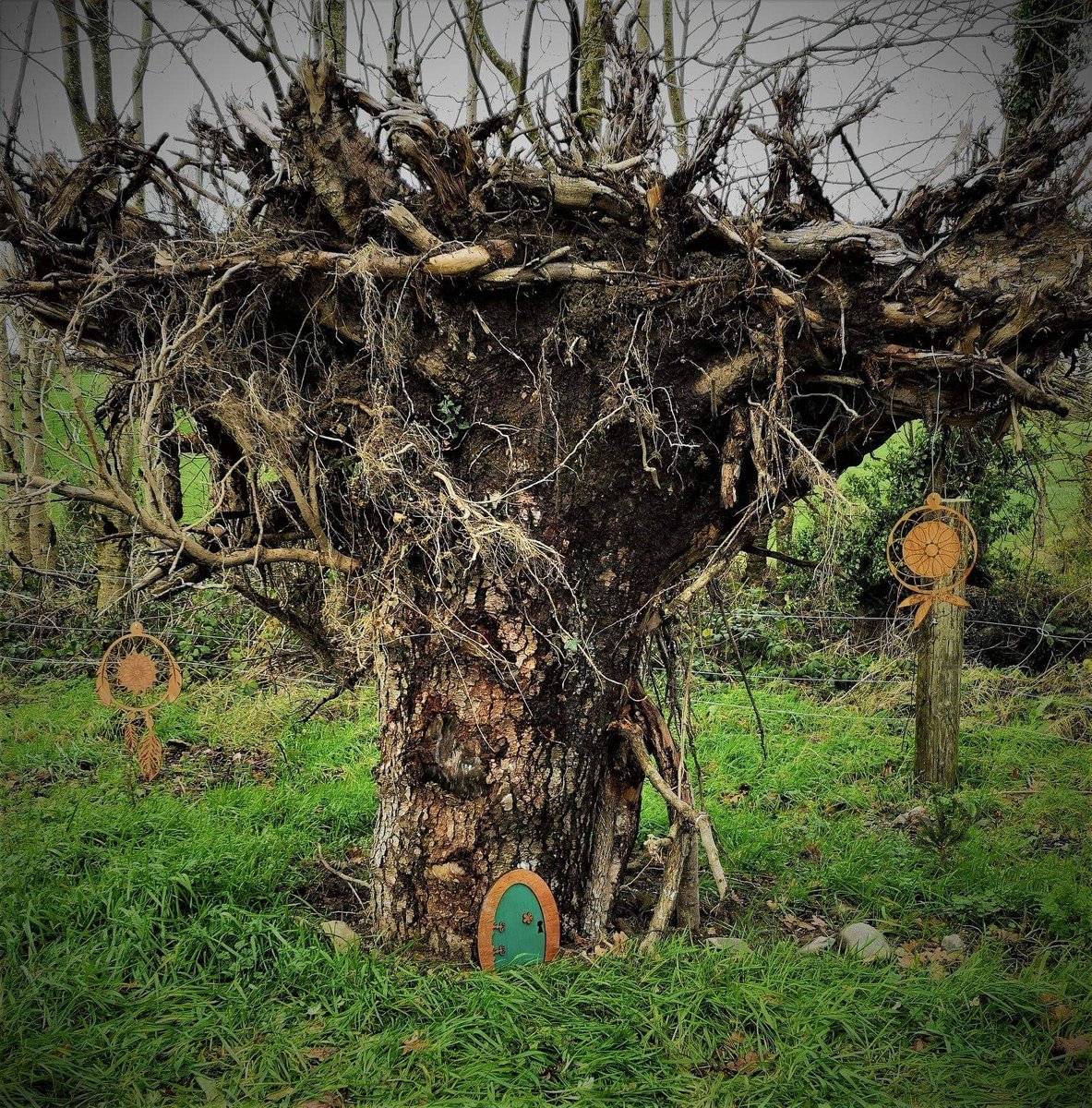 MementoTrees's tweet photo. We have been working hard over the last while with @Wheelockfruits on their beautiful Woodland walk to create a magical place for the Fairies to move in. Here is a sneak peak. Looking forward to stopping in for a cup of coffee in their magnificent coffee shop.  OPENING VERY SOON https://t.co/FfNrlJdGwI