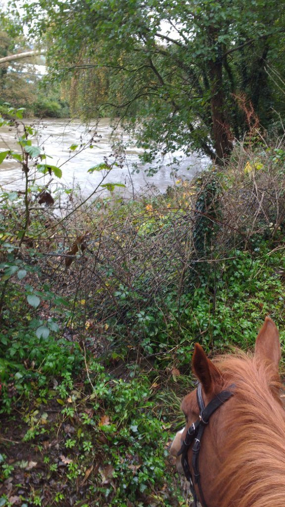 jay kynch tweet media