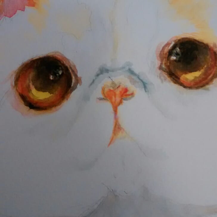 Gatonardo tweet media