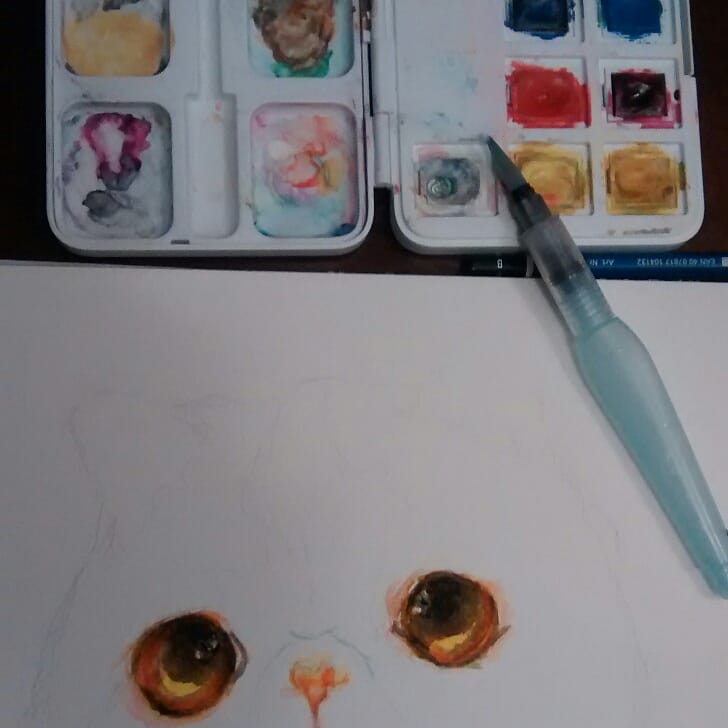 Gatonardo tweet media