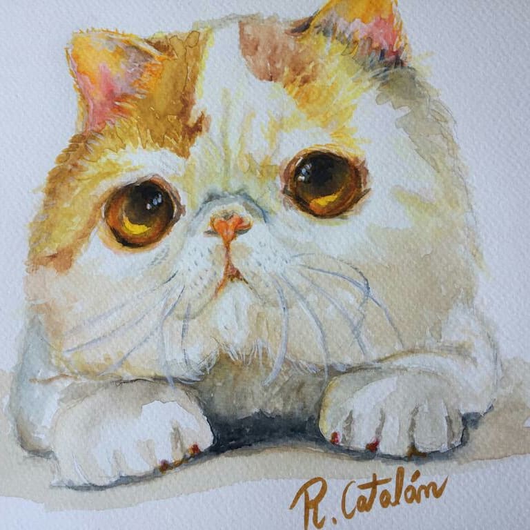 Gatonardo tweet media