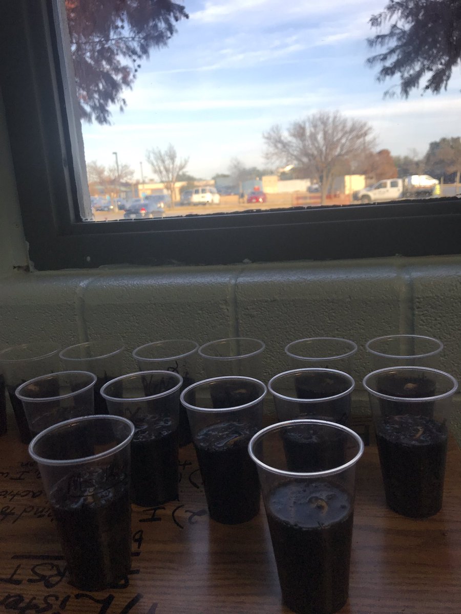 Science rules! My students are learning about soil and how important it is for planet earth. Each student has their own plant and we are watching them grow as they are growing in their learning😍 #littlegardners #gogreen #welovescience