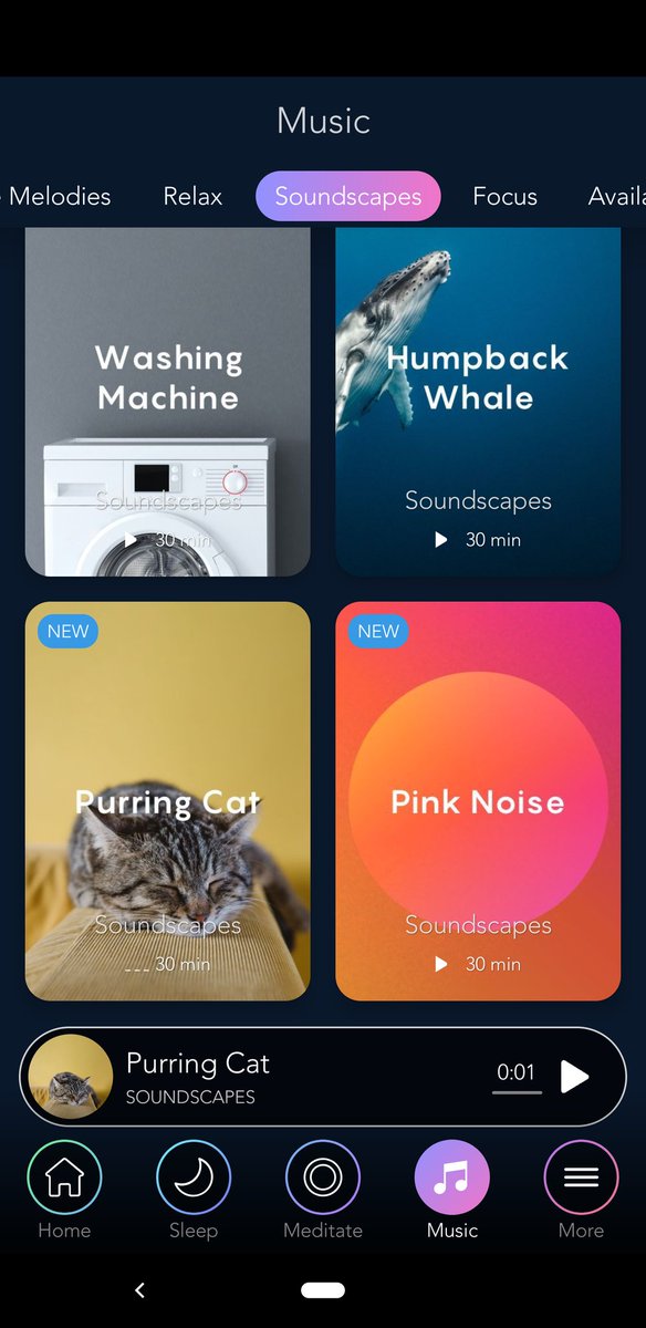 Inna Semenyuk tweet media