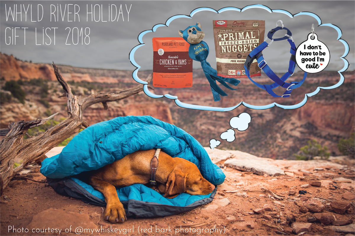 whyld_river's tweet photo. Looking for gifts for your favorite pup (or grandpup)? - https://t.co/WG4TH39vAu https://t.co/HmJZ44hd73
