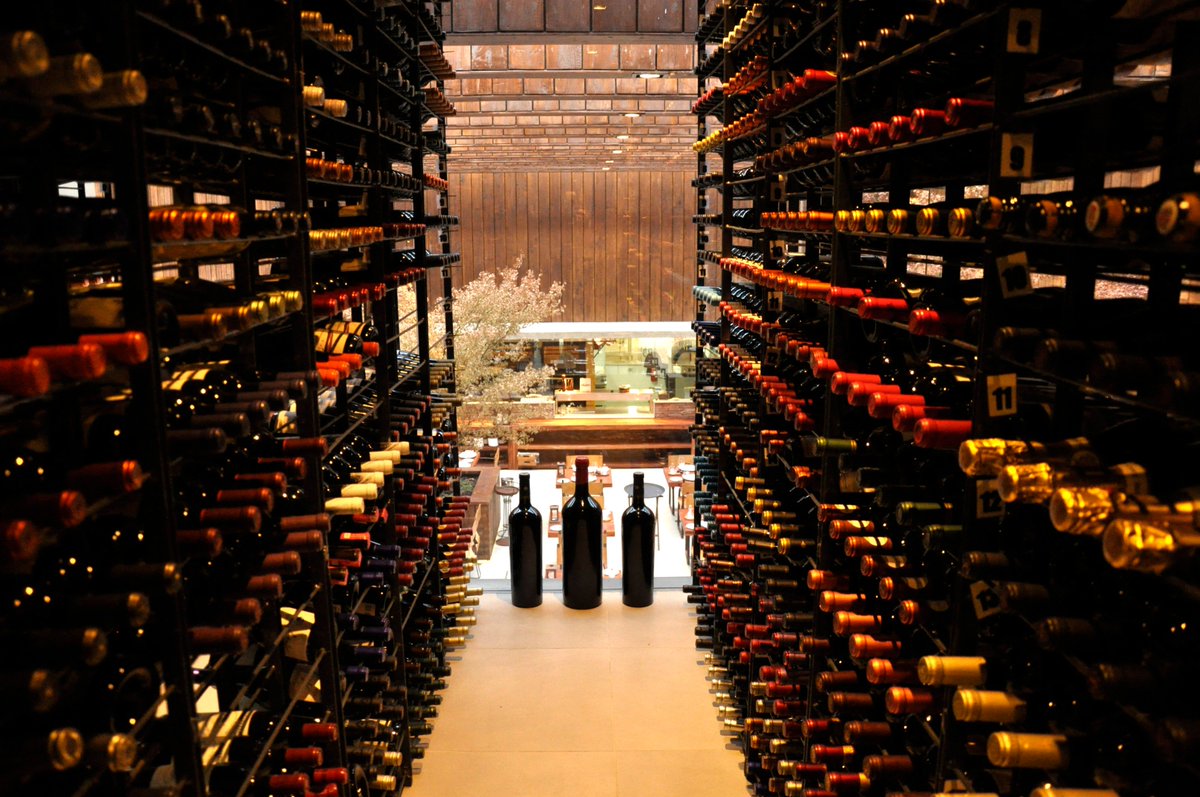 Rubaiyat Chile tweet media