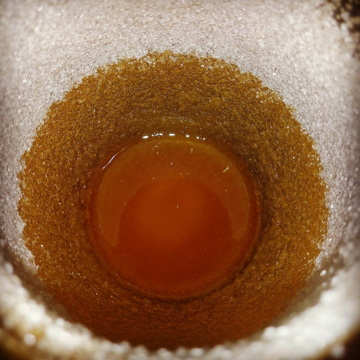 BitterPalmer's tweet photo. #Crusta #OldFashioned #BarksAndRoots #AngosturaBark #GentianRoot @BitterPalmer https://t.co/YiN5OsRRtx