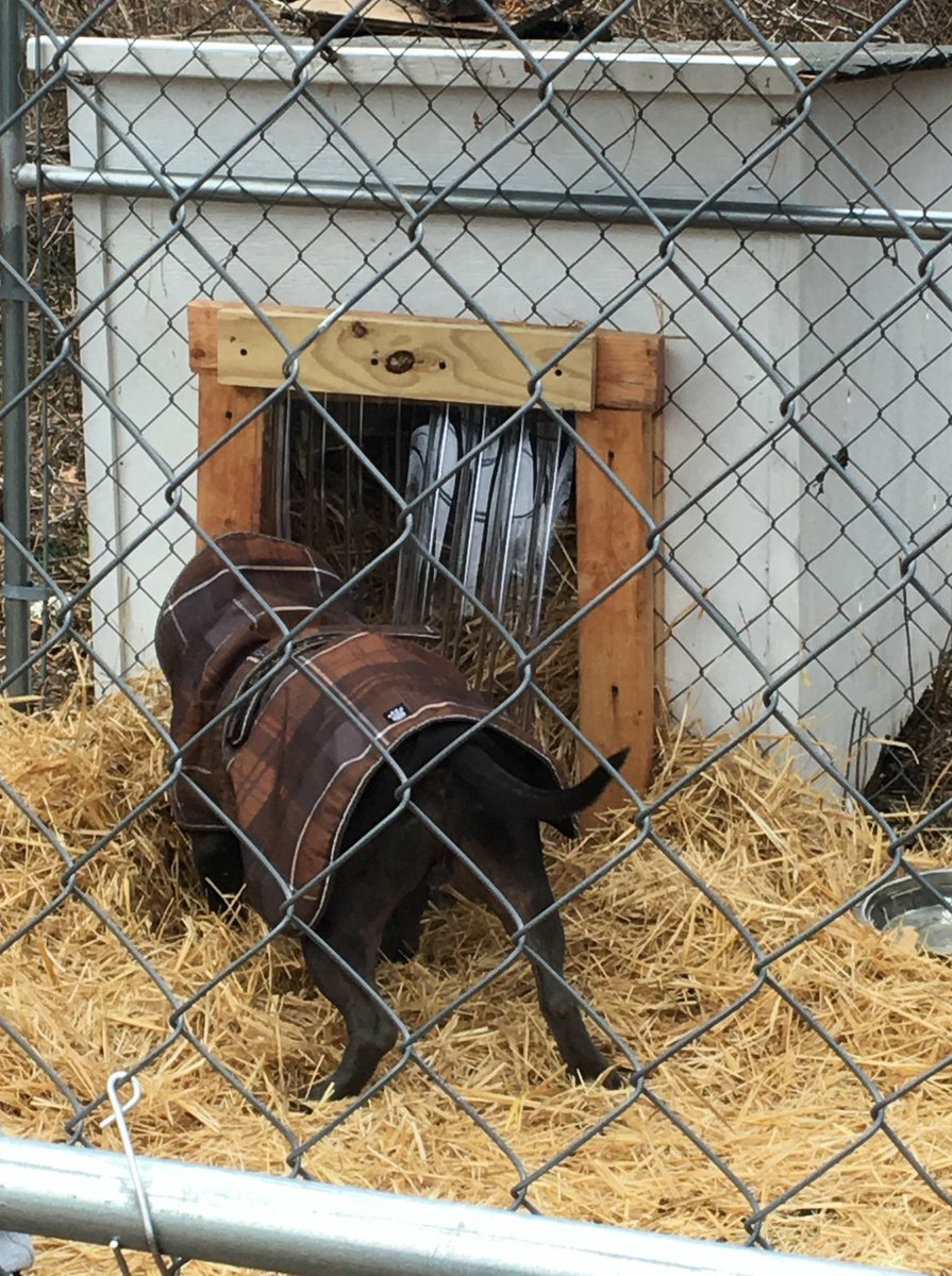 Guardians of Rescue tweet media