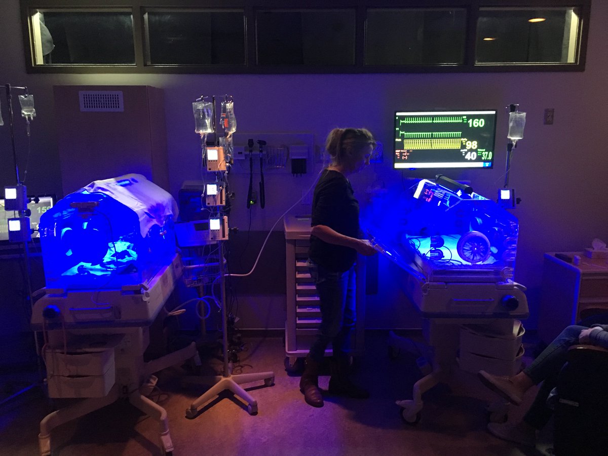 UCalgary Nursing tweet media