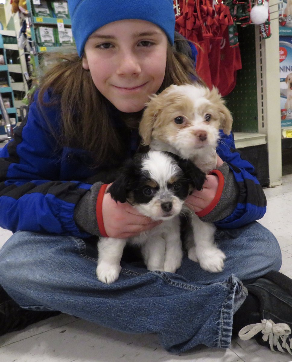 I Ve Pet That Dog On Twitter I Pet Luna And Macie They Are 8