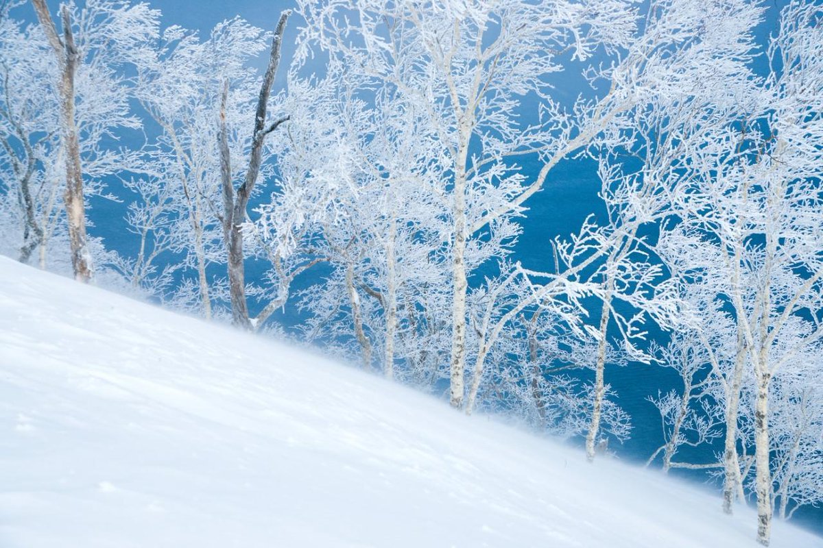 We want everyone to know the wonder of Hokkaido in winter! ❄️❄️❄️
Hokkaido is full of things foreigners do not know yet. ☃️
Try asking about Hokkaido at ninja-hub.com🇯🇵
#北海道 #hokkaido #snow #ski #japan #japanese #snowboard #tokyo