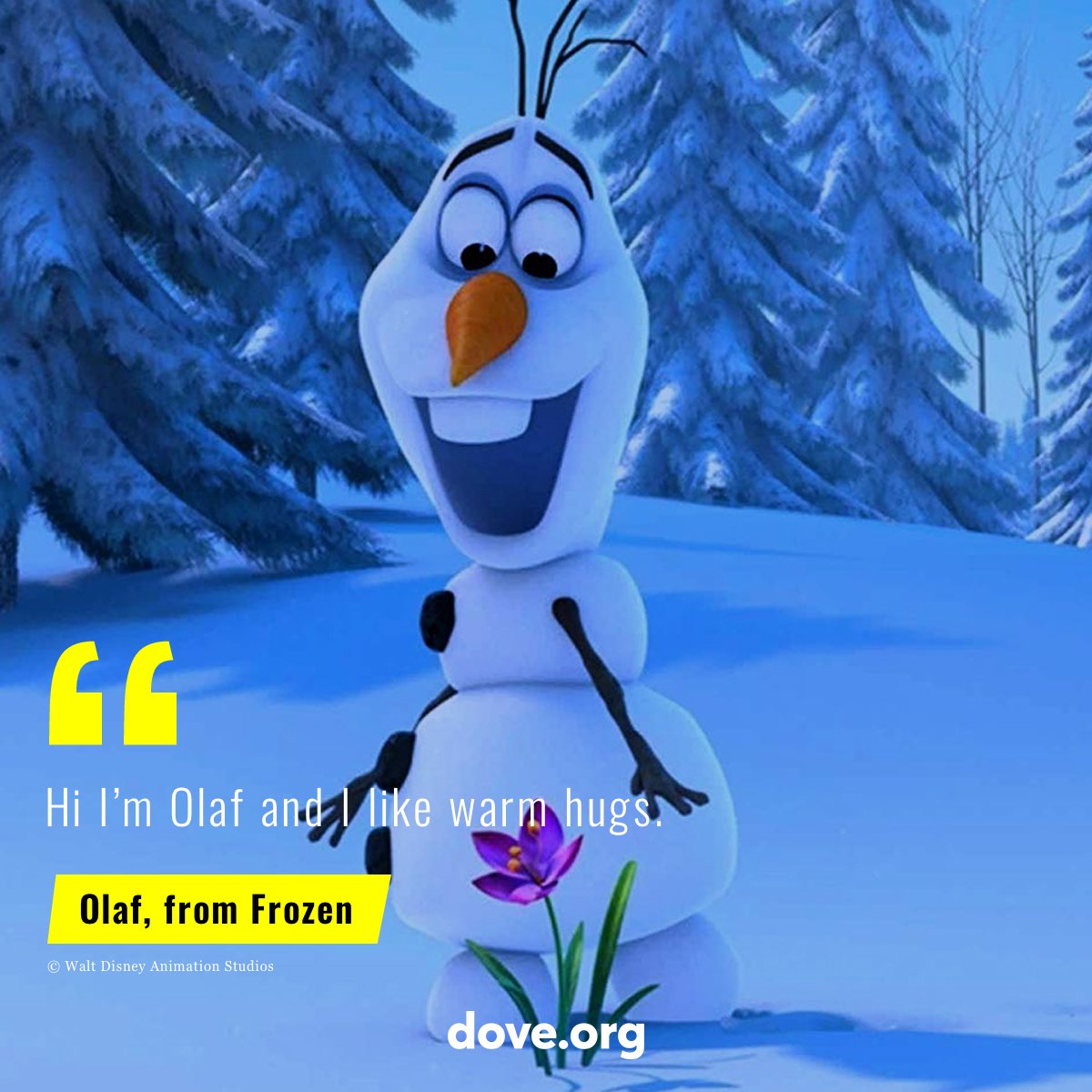 Frozen Olaf I Like Warm Hugs