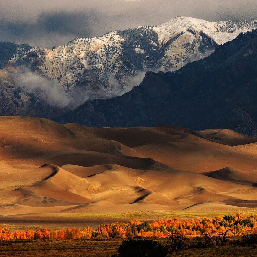 Visit Colorado tweet media