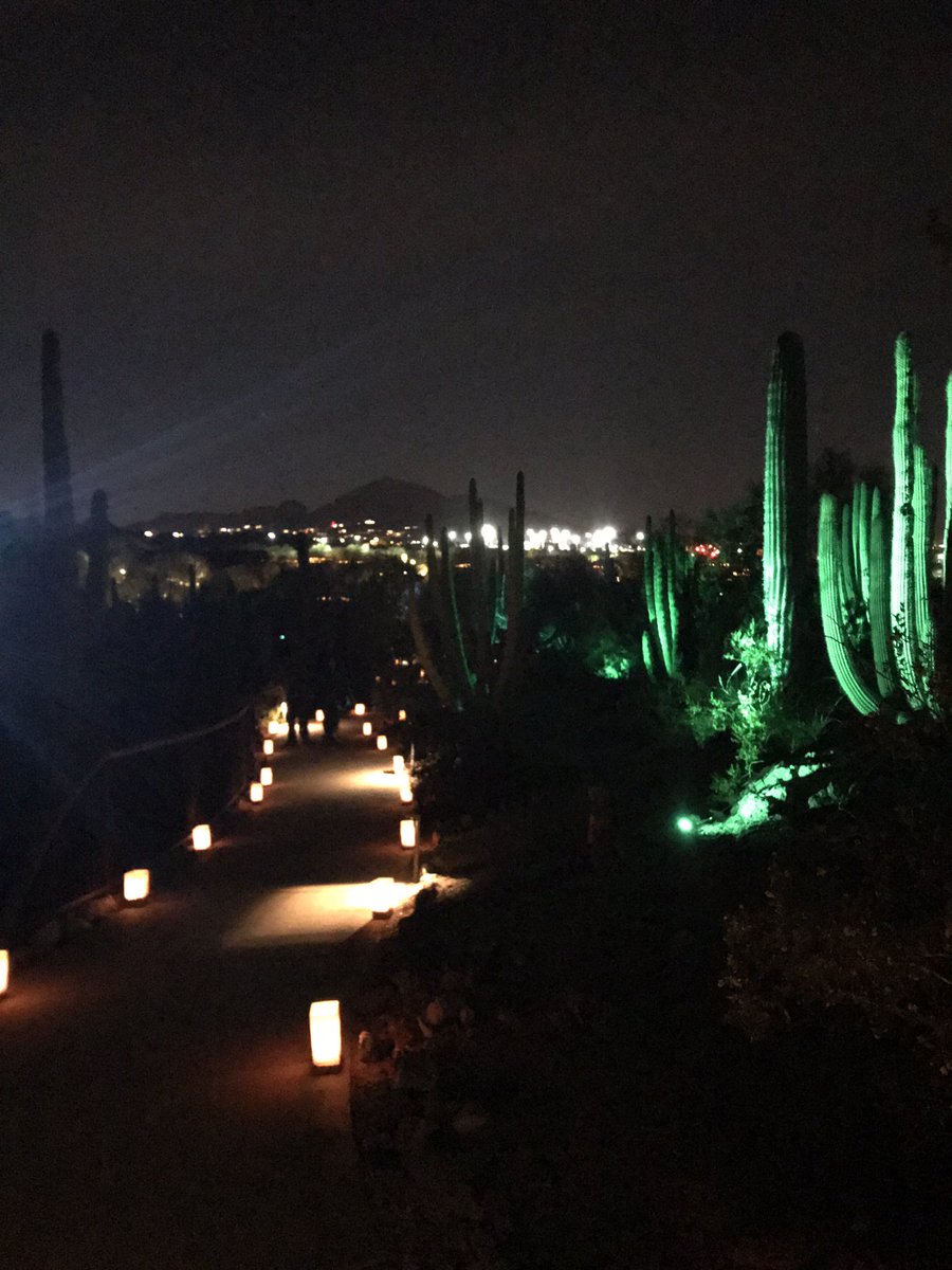 #azfamily beautiful night at Luminaries at DBG