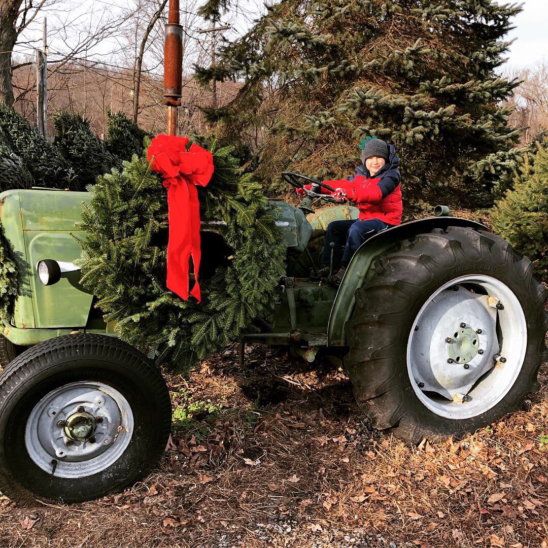 MamaNeedsCocoa's tweet image. We got our tree this weekend 🎄Santa was even there to say hello. Do you get a real tree, fake tree, or no tree? #christmastree #meetingsanta #christmastraditions #treefarm #momblogger #momblogtribe
