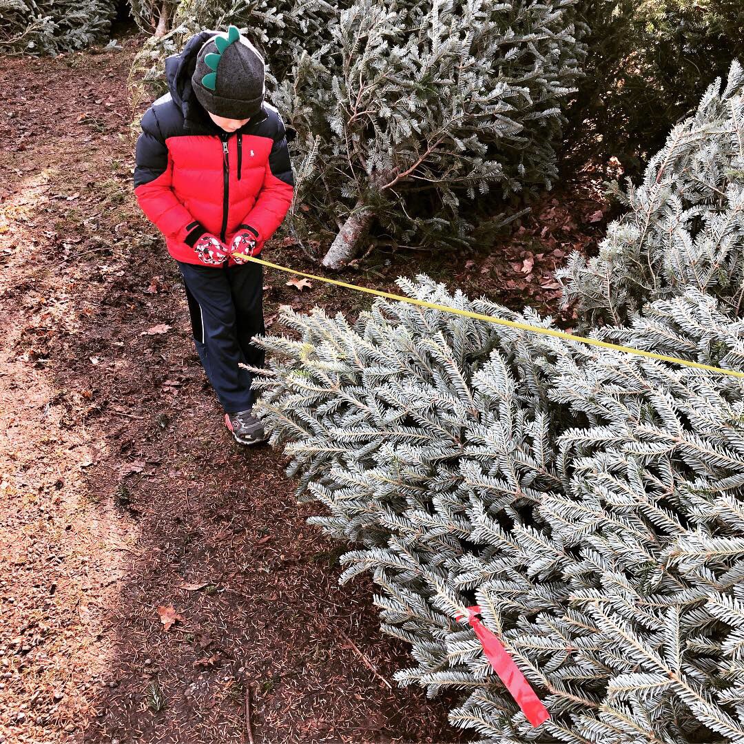 MamaNeedsCocoa's tweet image. We got our tree this weekend 🎄Santa was even there to say hello. Do you get a real tree, fake tree, or no tree? #christmastree #meetingsanta #christmastraditions #treefarm #momblogger #momblogtribe