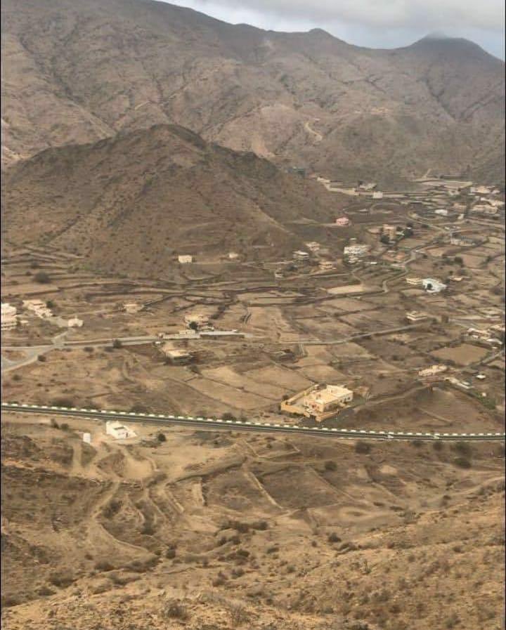 loneranger01's tweet image. Tanah Arab