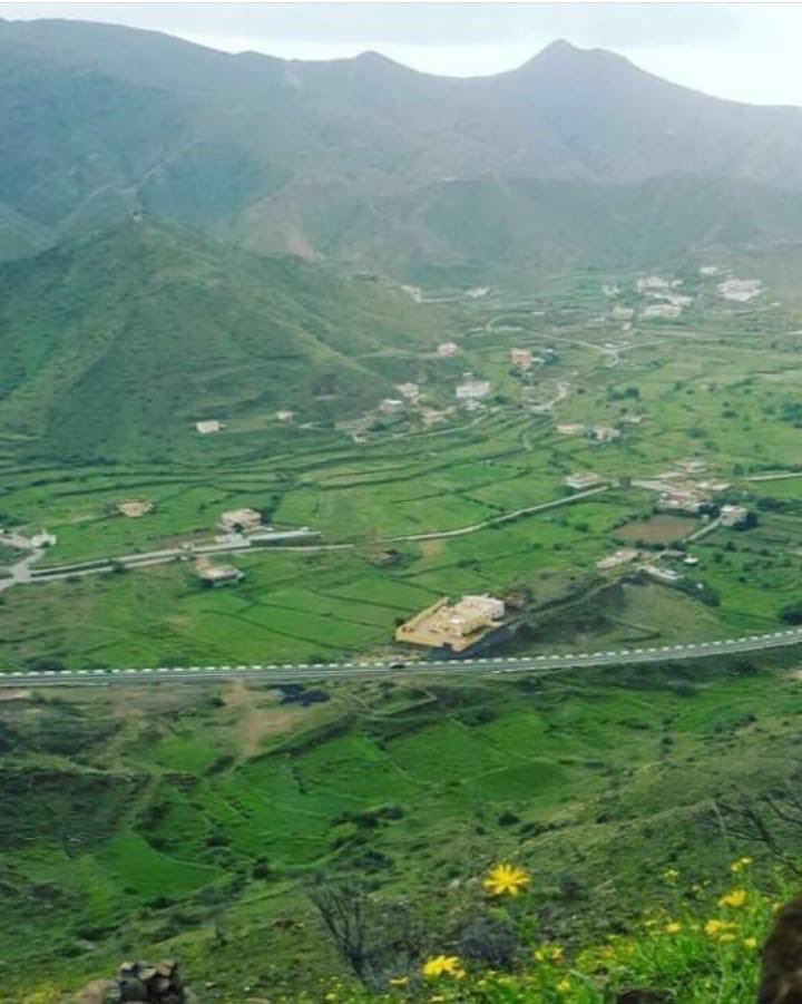 loneranger01's tweet image. Tanah Arab