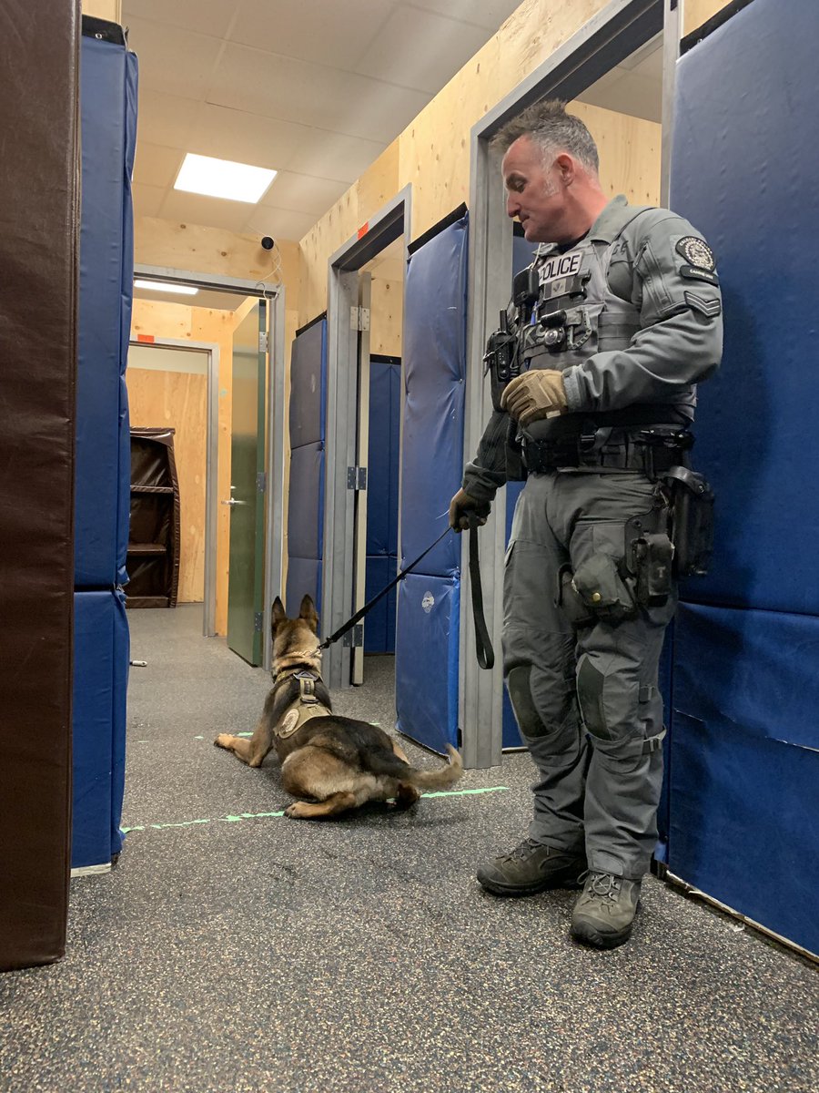Calgary Police on Twitter "Our K9 officers are an important part of