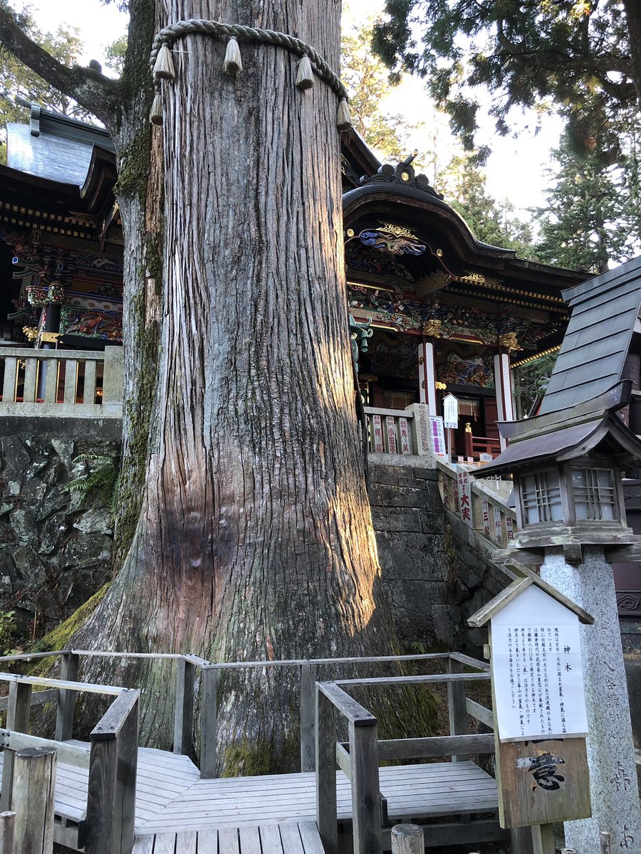 藤原 薫 در توییتر Nhk あさイチ おでかけライブ 埼玉県秩父市の 三峯神社 観ていただきありがとうございました 埼玉のパワースポット たくさんパワーを注入してきました これからも多くの人との出会いを大切にし 活躍できるよう頑張ります 縁結びの木に