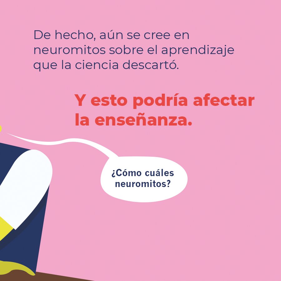 Educacion2020's tweet photo. ¿Aún crees que las habilidades están radicadas en uno de los dos hemisferios del cerebro? Te invitamos a conocer 5 neuromitos (y luego a erradicarlos https://t.co/wgqOHvwMnk ) https://t.co/TR04oul8sC