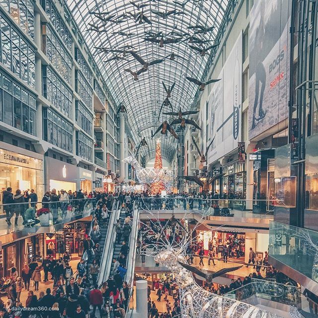 Sharon Leider tweet media