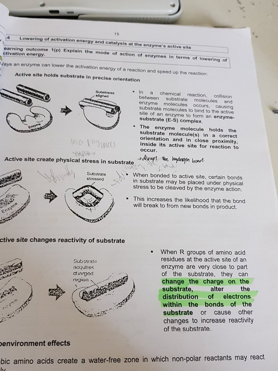 lovepagetem's tweet photo. Wondering why did i even take bio.. i love my handwriting.. coz i was falling asleep in lecture HAHAHAHAHAHA.. ok bye
#biostudent
#biology
#collegelife https://t.co/cfMjDKdTcq