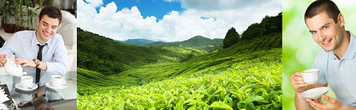 longtran2901k's tweet photo. Tác Dụng Của Trà Thái Nguyên Thượng Hạng Với Phái Mạnh
- - -
https://t.co/PjOKztpbvN
- - -
#loctancuong
#traxanh
#traxanhthainguyen
#tea
#vietnam
- - -
Hotline: 028 7300 4747 https://t.co/Nnh7xVSQ7Q