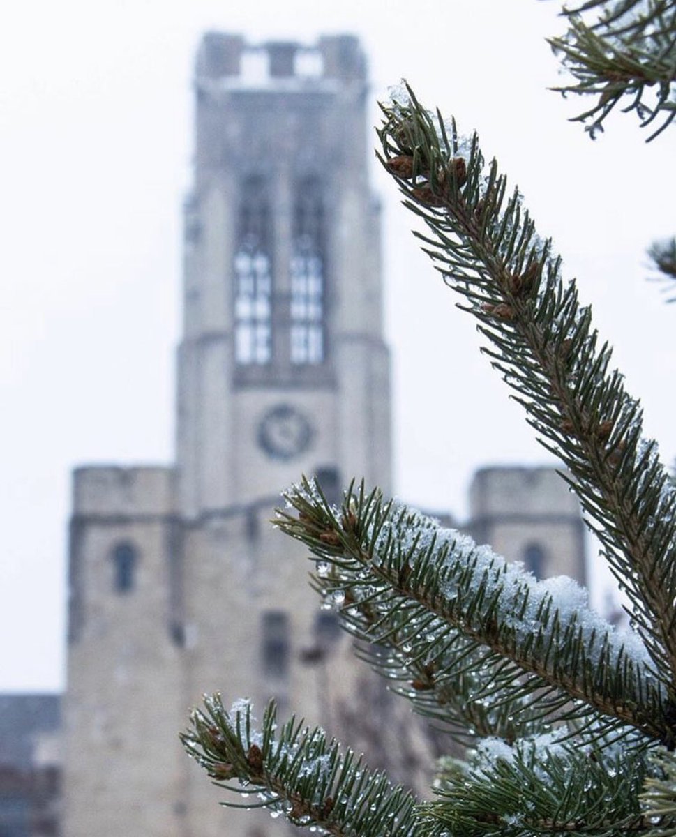 JLokken_UTRep's tweet photo. There’s no time of year where this isn’t a beautiful campus.
📸 - UToledo Instagram
#UToledo #UTYouKnow #LiftOff #LookingForStars #YouWillDoBetterInToledo https://t.co/RiIo5cBqOe