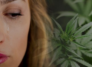 HeroNew6's tweet photo. Can Mothers Turn to CBD to Ease Postpartum Depression?

Giving birth to a new life is supposed to be the happiest and most proud  thing of a new mother. But for mothers with postpartum depression, the  feeling is completely different.

https://t.co/Md8JjYfA01 https://t.co/9ODRj9vjqn