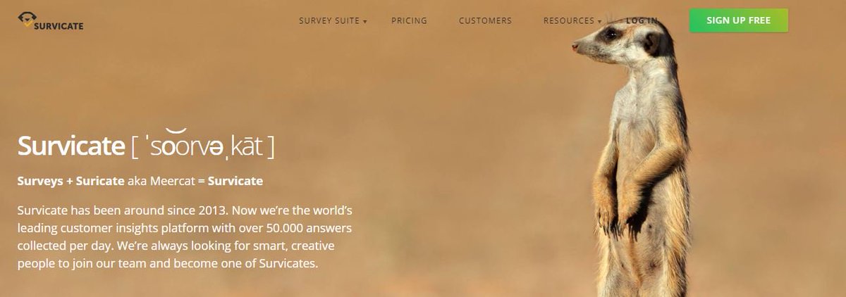TaleBusiness's tweet photo. @Survicate - Surveys and Suricate https://t.co/PGGA0YCGUf #survey #Warszawa #Polska https://t.co/fGIymHOjyA