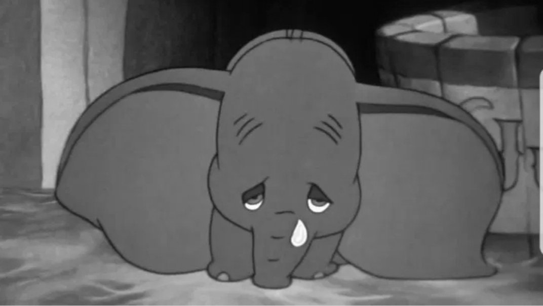 OdeonOfDeath's tweet photo. Werner Herzog's Dumbo (2002)

"When one gazes upon the ears of this pathetic creature one grasps how unforgiving and even terrible mother nature is to withhold from the wretched pachyderm the knowledge that its appalling disfigurement is simultaneously the key to its salvation." https://t.co/mGD8mz5Brc