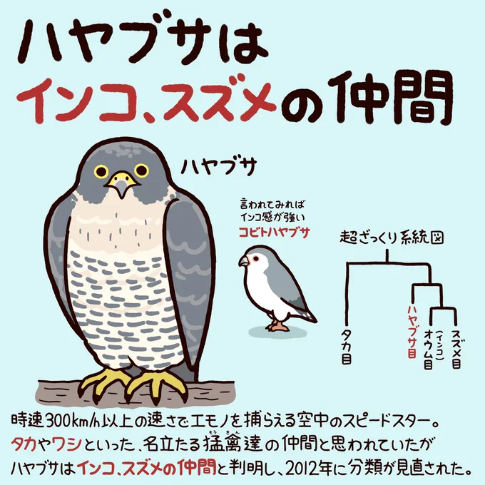 今日から使える動物豆知識 