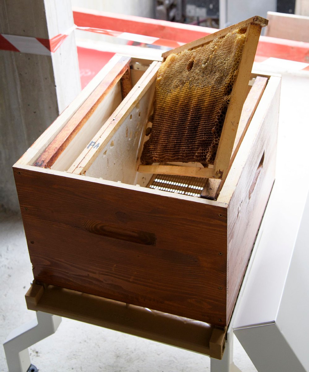 Ogic_officiel's tweet image. #LeSaviezVous🐝
Sur de nombreux chantiers d'#IDF, nous installons des ruches sur les bases vie. Mercredi dernier, notre miel produit à @mairievitry a remporté la médaille d'argent du concours @GrandParisMGP @SCApiculture ! #urbanisme #biodiversite