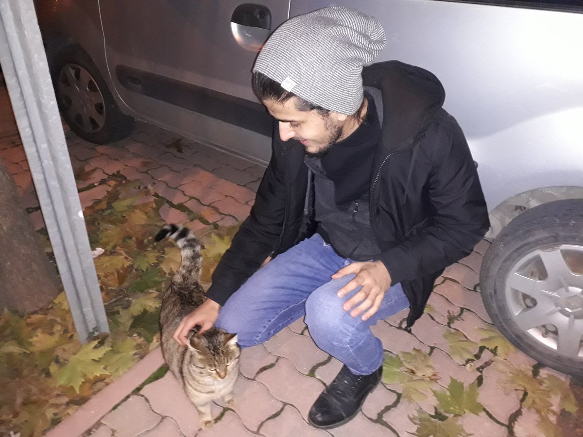 Garfield ın kayıp kardeşi yazır sokaklarında