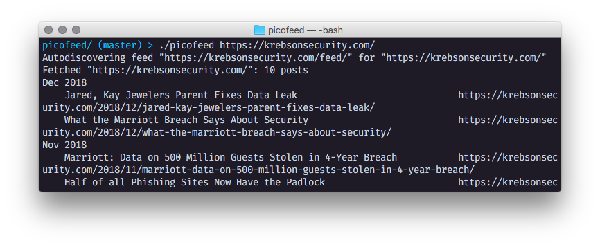Seena Burns tweet media