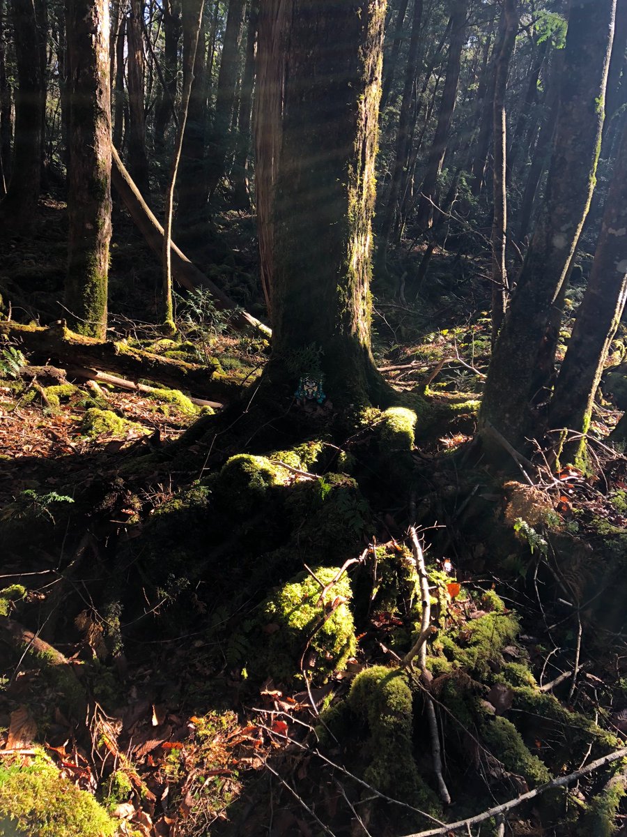 ヌゥ 3 28 スーファミwoプレイング على تويتر ロボさんが砂場を森に