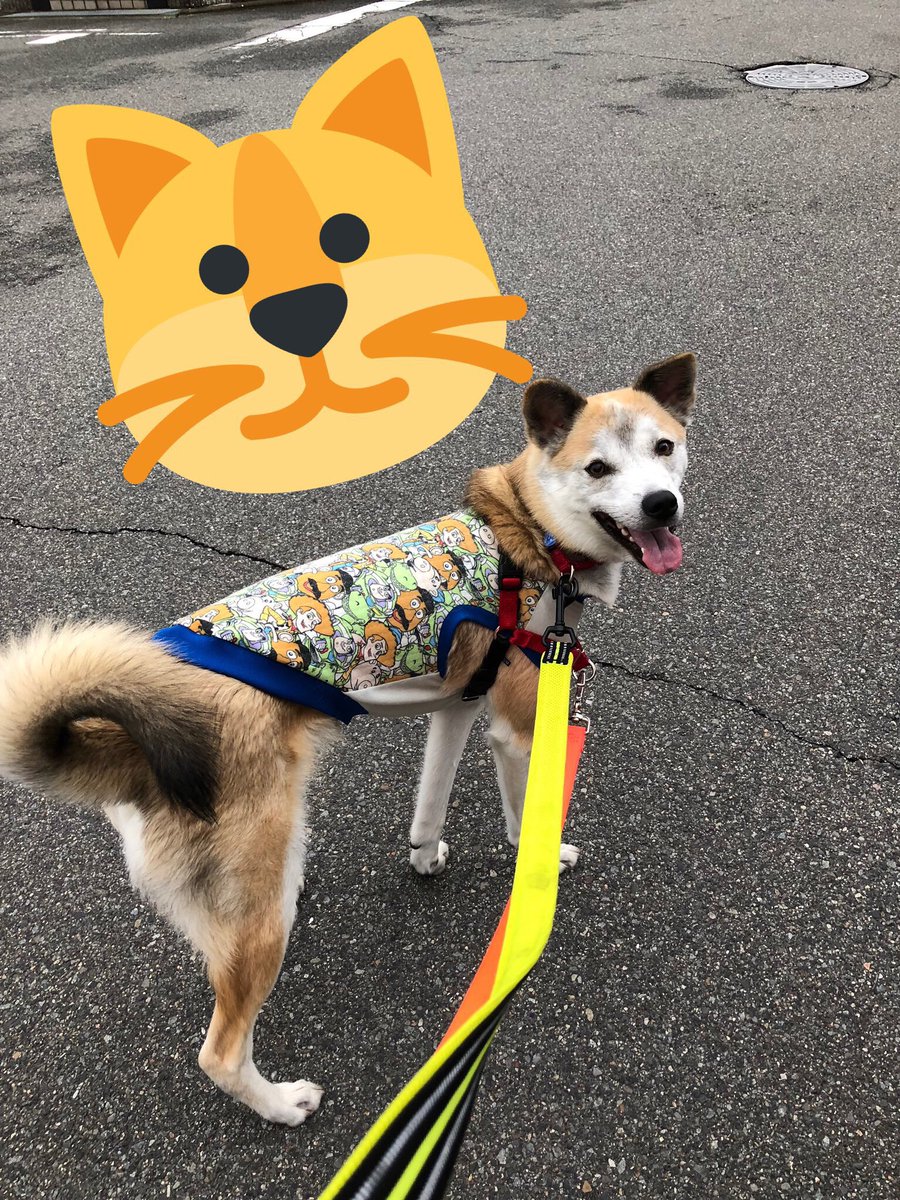 足長い Hashtag On Twitter
