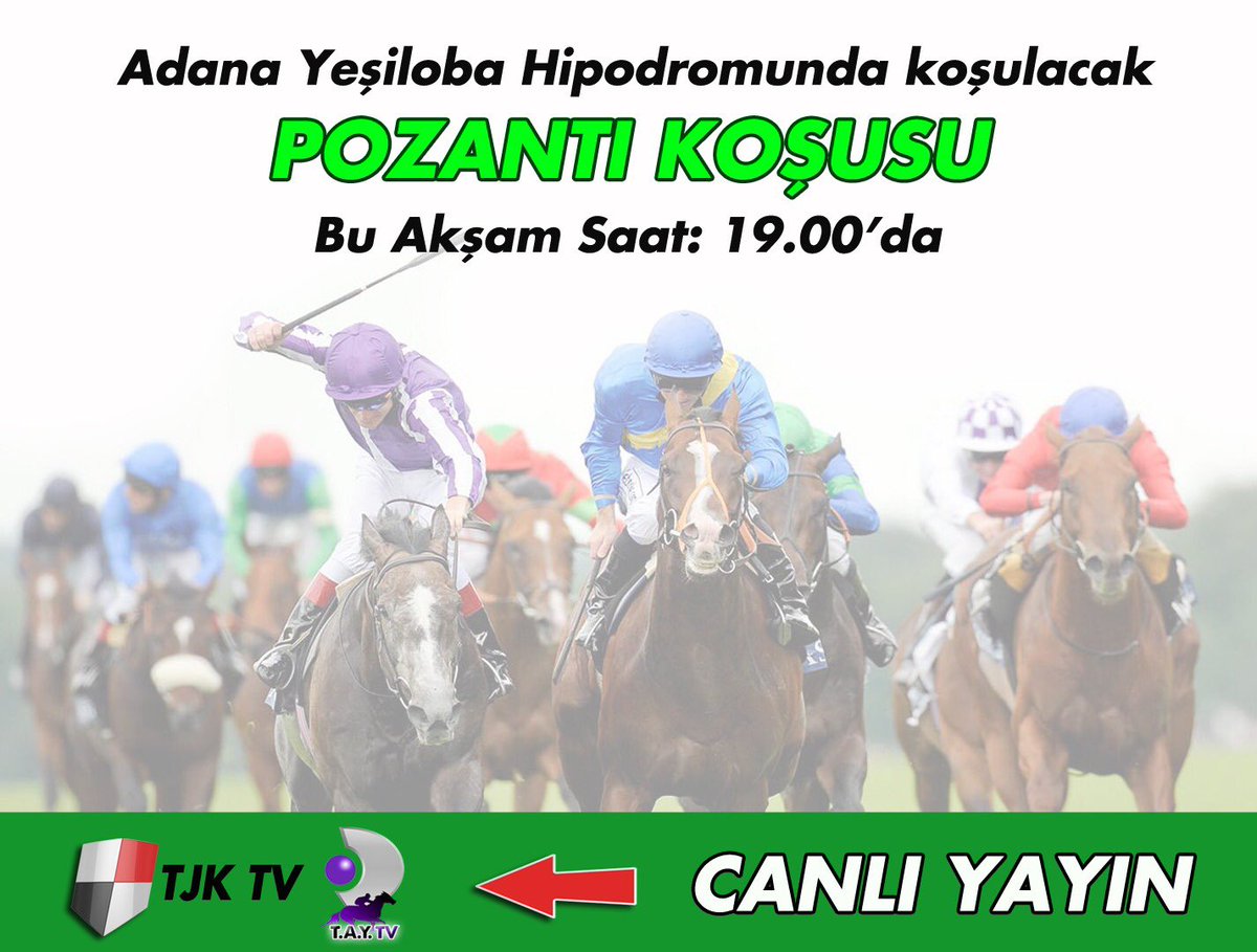 Tjk canli