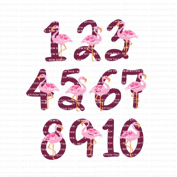 Download Floral Hangers On Twitter Flamingo Svg Flamingo Birthday Svg Birthday Numbers Svg Flamingo Numbers Flamingo First Birthday First Birthday Svg Flamingo Shirt Svg Birthdaynumberssvg Flamingosvg 5 99 Https T Co Jb4ezgupei Https T Co