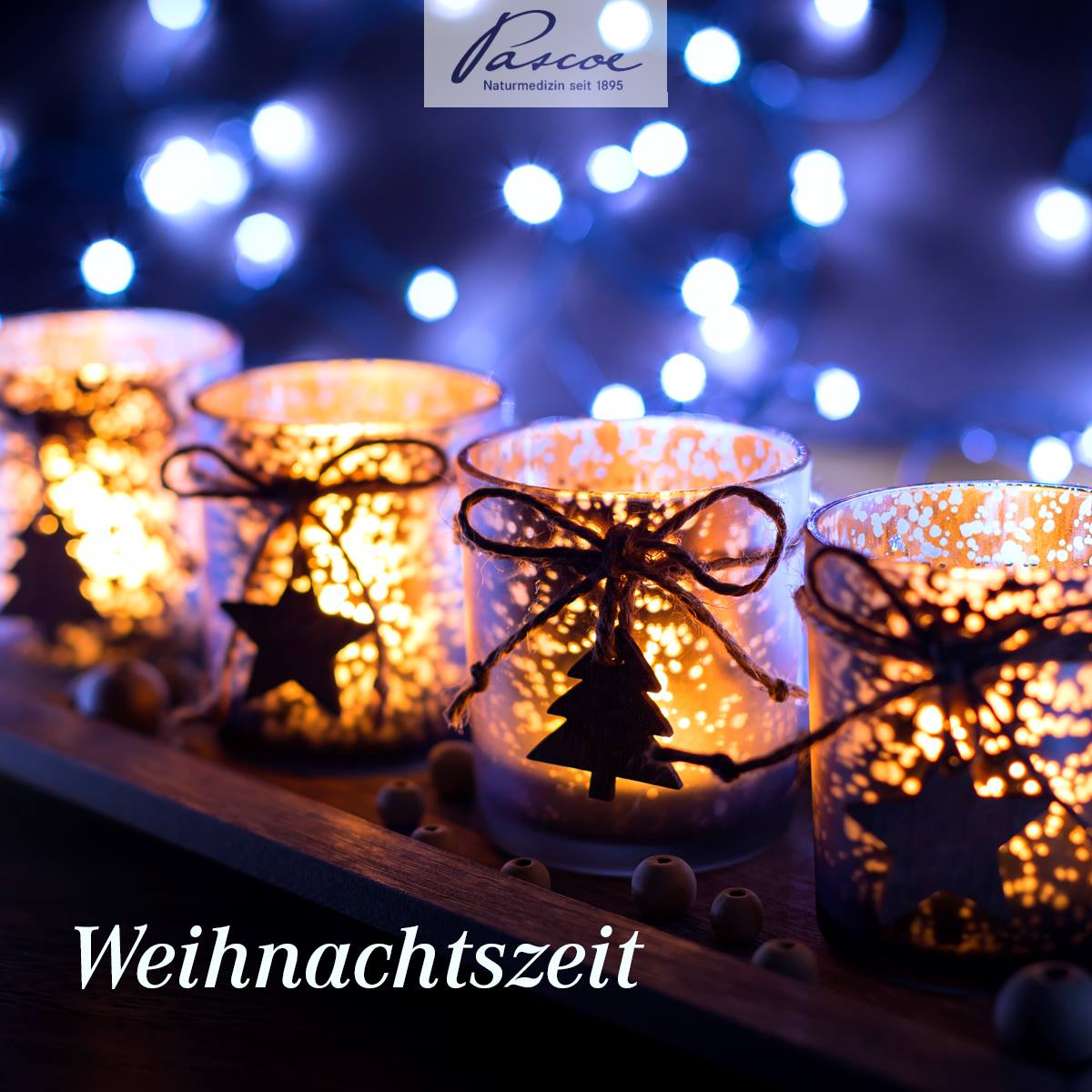 +++ Pascoe Naturmedizin wünscht eine gesunde und besinnliche #Weihnachtszeit! +++
pascoe.de