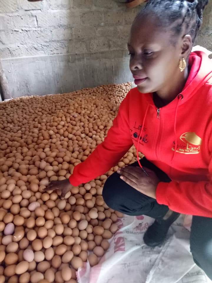 ezra_muinde_'s tweet photo. Yesterday we verified that this farmer has 2000 trays of eggs but she can't find a market.

What's happening to poultry farming?

#AnziaSokoni https://t.co/wYYQtFdZlj
