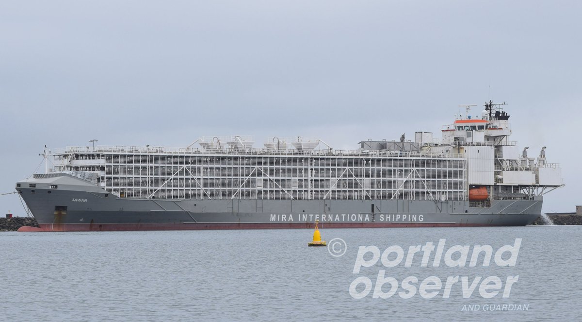 portland observer (@theobserver3305) on Twitter photo Livestock ship back in port (bit.ly/2zF6Nro) #MVJawan <a href="/amsa_marine/">Australian Marine Sciences Association</a> Livestock ship back in port (bit.ly/2zF6Nro) #MVJawan <a href="/amsa_marine/">Australian Marine Sciences Association</a>