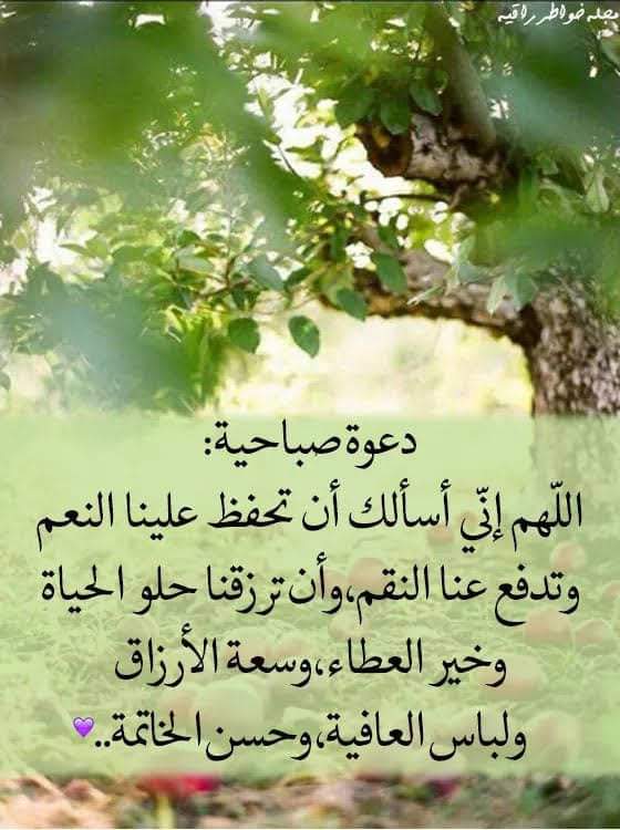 ahmed (@ahmedel90012149) on Twitter photo 